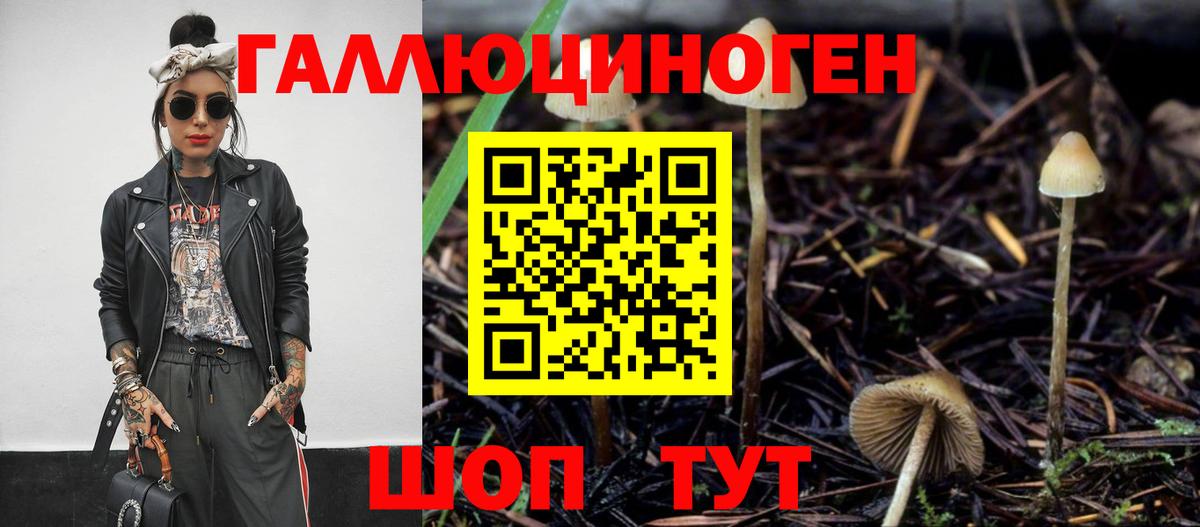 Ачинск  Галлюциногенные грибы прущие грибы  Вход с VPN 